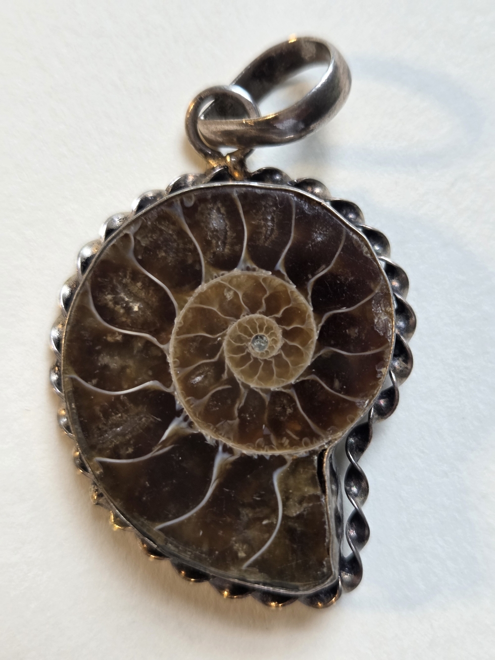 Ammonite Fossil Pendant in Brown with Silver Setting